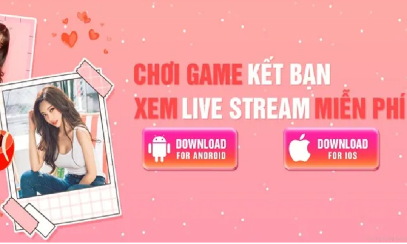 Giới thiệu về Chichlive